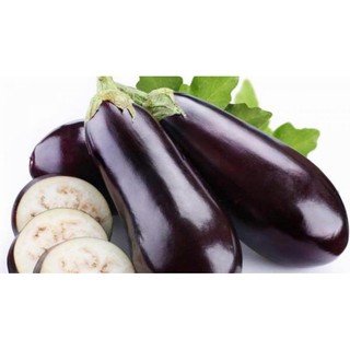 Hạt Giống Cà Tím F1