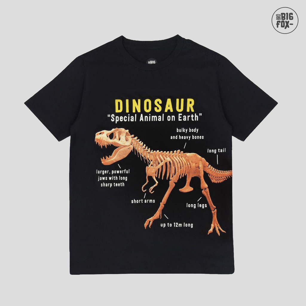 Áo Thun Bé Trai Size Đại Bigfox, Áo Phông Trẻ Em Khủng Long Dinosaur 3-11, Cotton Xuất