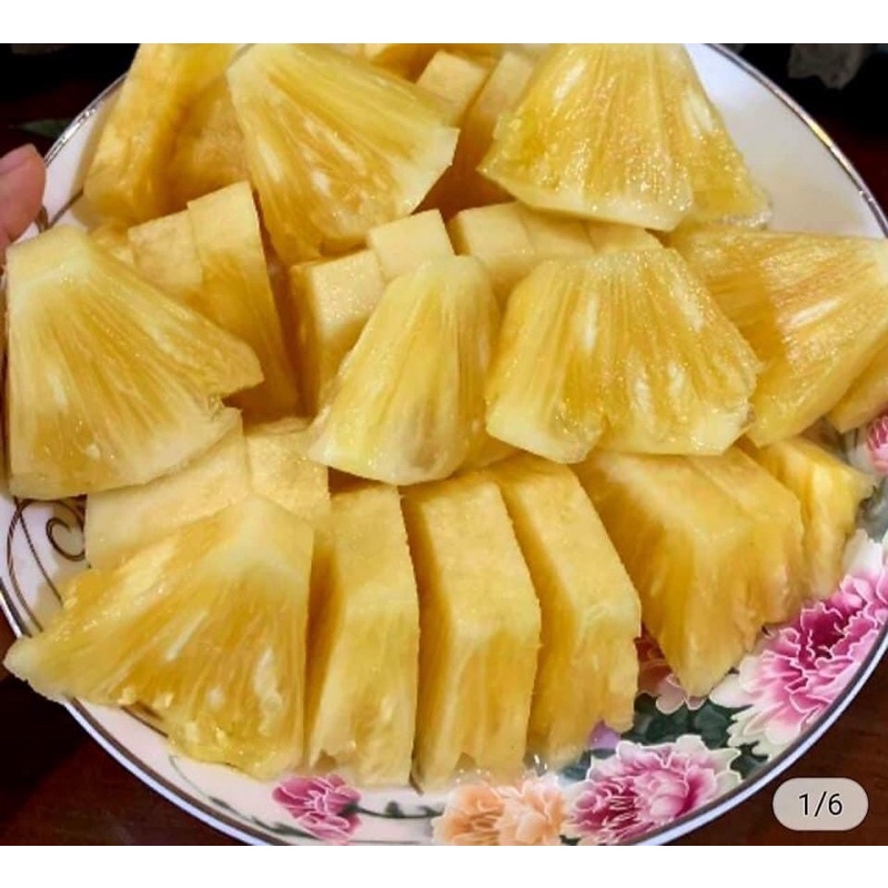 DỨA MẬT ĐAKLAK