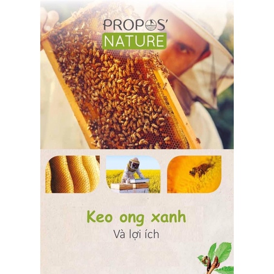 Hộp viên keo ong xanh Propolis Verte Bio 120v