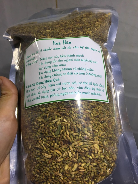 Hoa hoè sao vàng hạ thổ