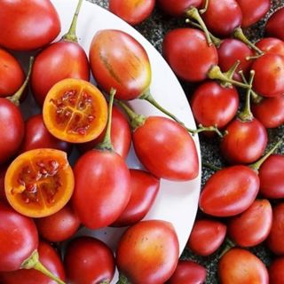 Hạt Giống Cà Chua Thân Gỗ - 20 Hạt - HÀNG CÔNG TY