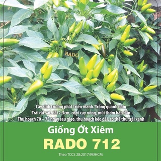Hạt giống ớt xiêm rado 712