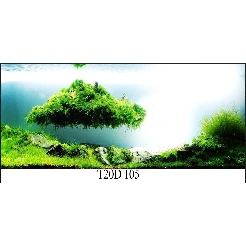 Tranh 3D trang trí hồ cá, bán cạn tiểu cảnh - chủ đề Đại dương xanh part 5