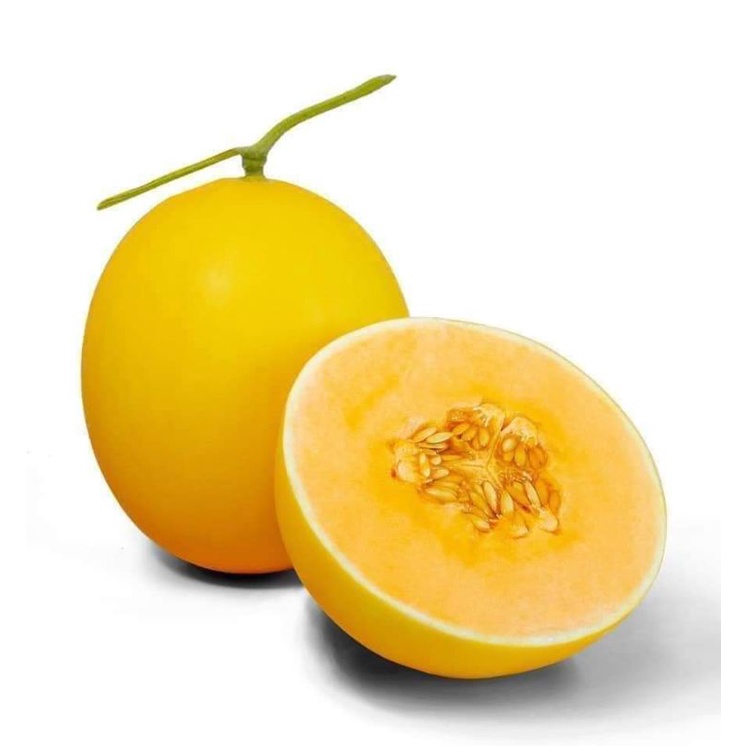 50 HẠT GIỐNG DƯA LÊ HOÀNG KIM TRANG NÔNG TN463