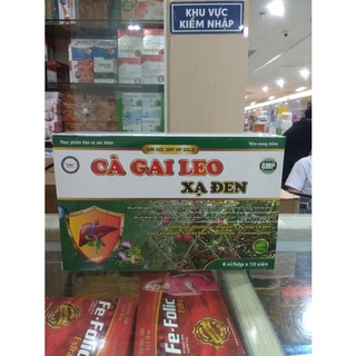 Cà gai leo xạ đen,giúp thanh nhiệt