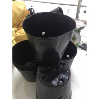 Bầu ươm cây 18*16 (147 cái/kg)