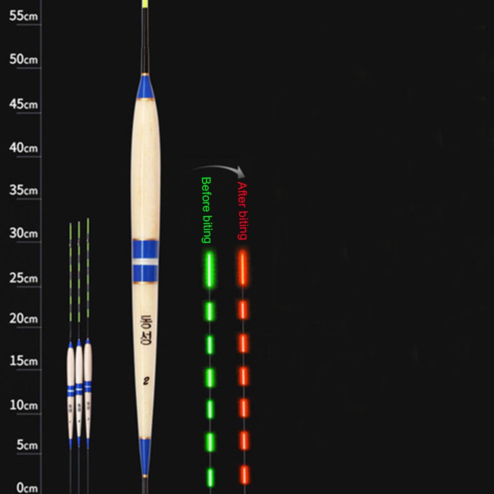 Phao Câu Cá Gắn Đèn LED Có Thể Thay Đổi Màu Sắc