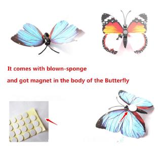 12 con bướm 3D dán tường để trang trí