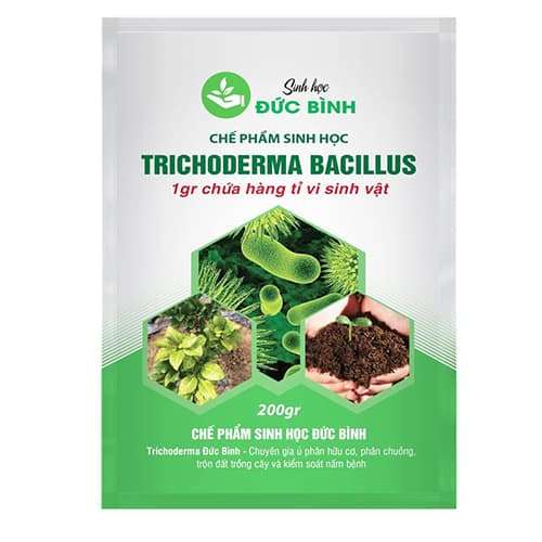 NẤM ĐỐI KHÁNG TRICHODERMA BACILLUS 200g ( Chuyên dùng để ủ phân hữu cơ và kiểm soát nấm bệnh)