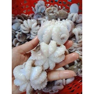Bạch tuộc sữa tươi size 10 - 20 đã làm sạch