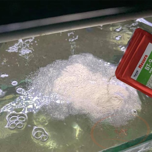 Vi sinh bột Mosura BT-9 Bacteria trải nền BT9 setup bể cá tép