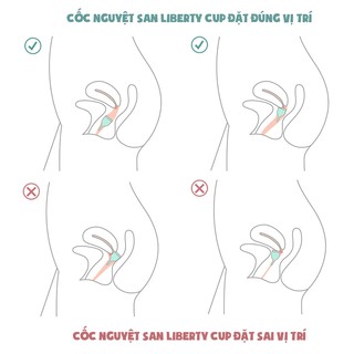 Cốc Nguyệt San Liberty Cup