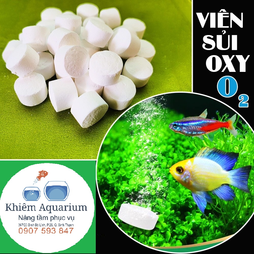 Viên Oxy Cho Bể Cá - Cung Cấp Oxy, diệt trừ rong, tảo trong hồ, diệt vi trùng và ngăn chặn dịch bệnh cho cá cảnh 500g