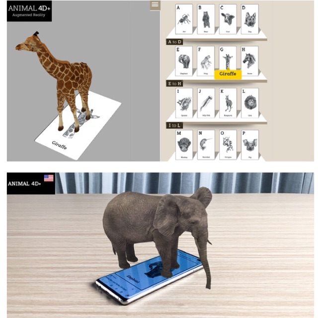 Thẻ ANIMAL 4d+