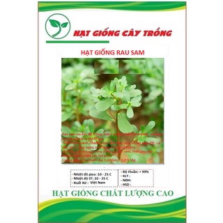 Hạt giống rau sam đất - Gói 2gram