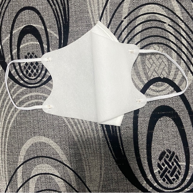 Combo 10 Khẩu trang vải không dệt chống khuẩn bụi mịn,chất liệu ,người lớn trẻ em đều dùng đươc (loại dây sợi)