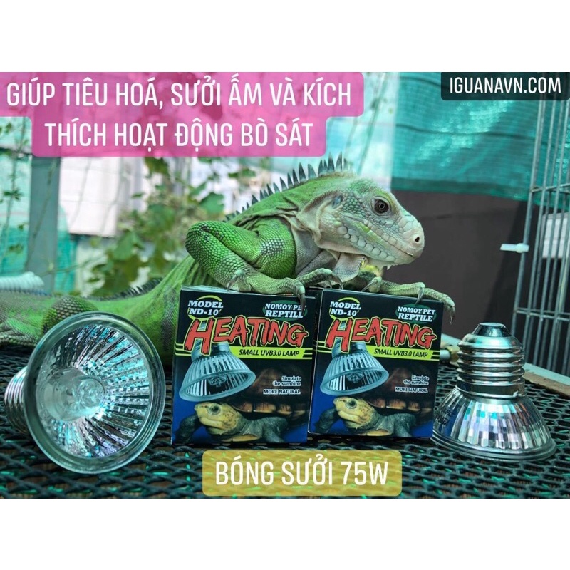 ĐÈN SƯỞI RÙA NƯỚC, BÒ SÁT, CHÓ MÈO 3.0 giá sỉ- TẠO NHIỆT, GIÚP TIÊU HOÁ VÀ KÍCH THÍCH HOẠT ĐỘNG.