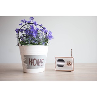 Loa Bluetooth mini Hàn Quốc thương hiệu Fromb