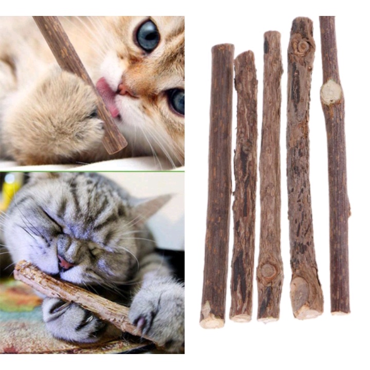 Set 5 Thanh Gỗ Matatabi Nhai Gặm Cho Mèo Giúp Làm Sạch Răng Và Thư Giãn