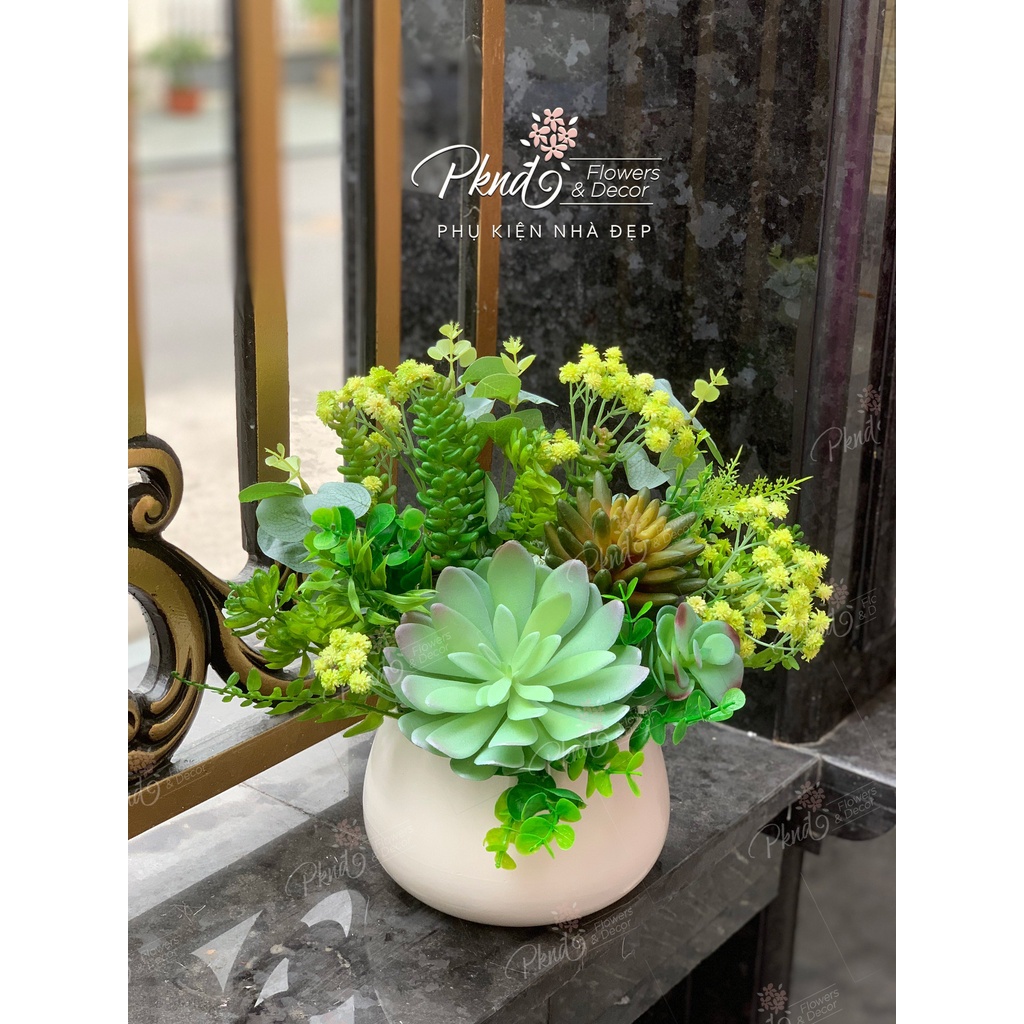 Chậu hoa giả sen đá chất cao su non decor đẹp PKND FLOWERS &amp; DECOR