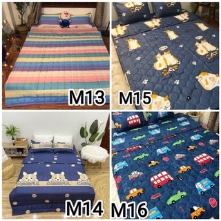 Sét 3 món ga và 2 gối Poly Cotton