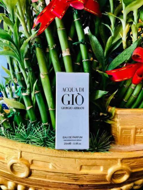 ACQUA DI GIÒ Tinh Dầu Thơm Hparfum Dạng Xịt 25ml | BigBuy360 - bigbuy360.vn