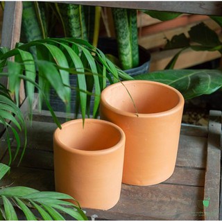 CHẬU ĐẤT NUNG HÌNH TRỤ CÁC LOẠI - chậu trồng tiểu cảnh sen đá, xương rồng, cây phong thuỷ văn phòng đẹp