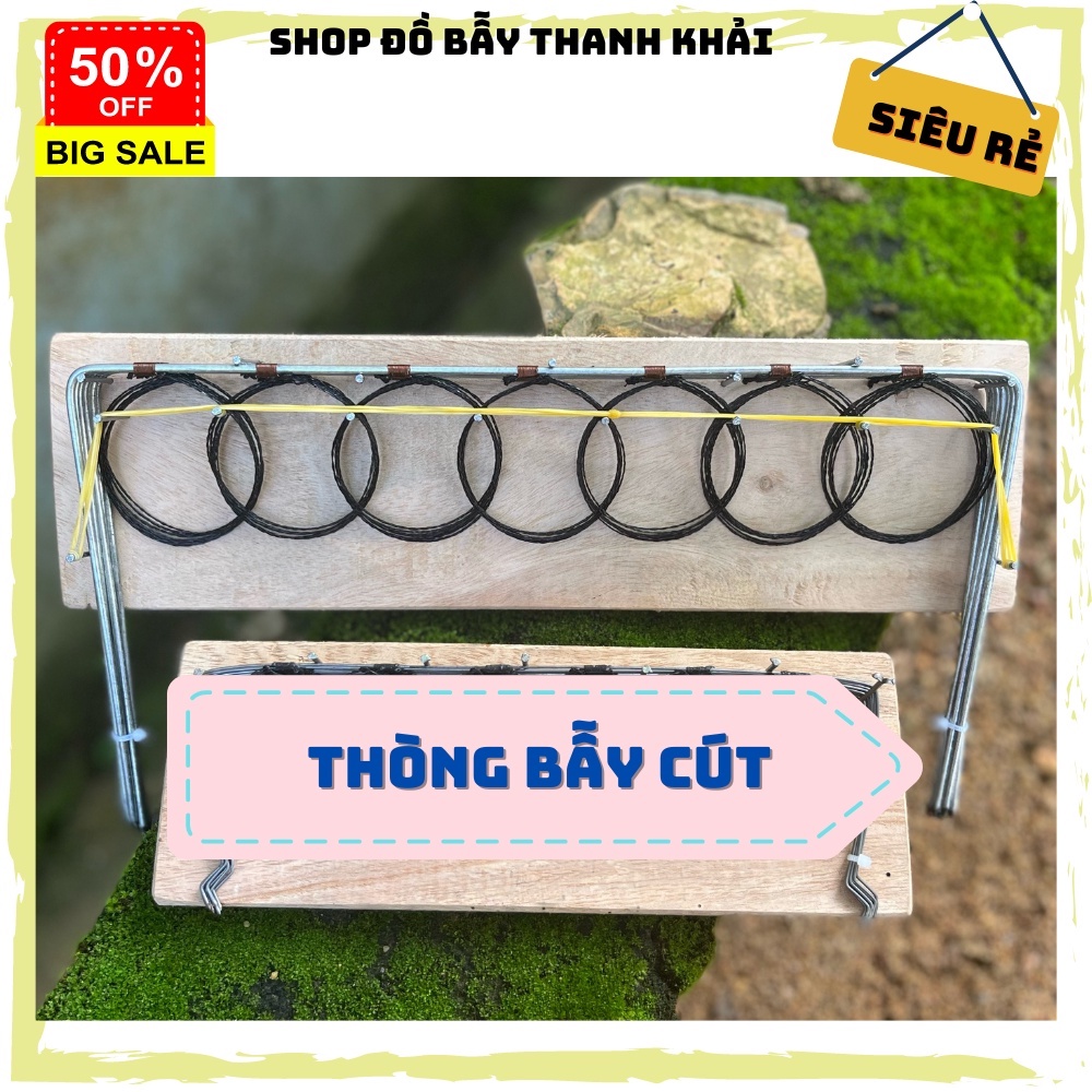 Thòng bẫy Cút siêu nhạy, cước thái 2 màu ván gỗ rừng chắc chắn