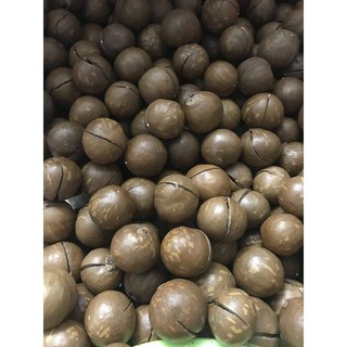 Hạt macca daklak  1kg