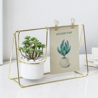 Chậu cây gốm sứ trắng và khung ảnh trang trí bàn làm việc sang trọng