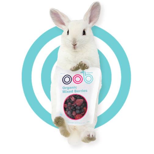 Hỗn hợp trái cây DÂU, VIỆT QUẤT, MÂM XÔI đông lạnh nhập khẩu New Zealand Oob organic Mixed berries 500g