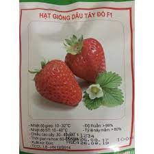 Combo Hạt giống dâu tay và 10 viên nén xơ dừa ươm cây