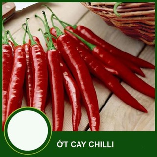 Hạt ớt chỉ thiên siêu cay Chili F1-777 - gói 0,5 gram