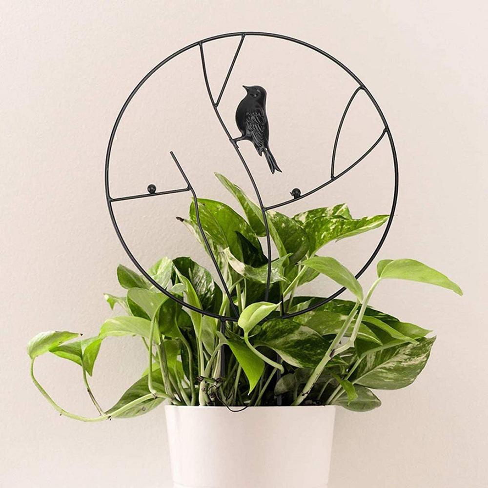 YIYU Giá Đỡ Cây Leo Bằng Kim Loại Chống Rỉ 30cm