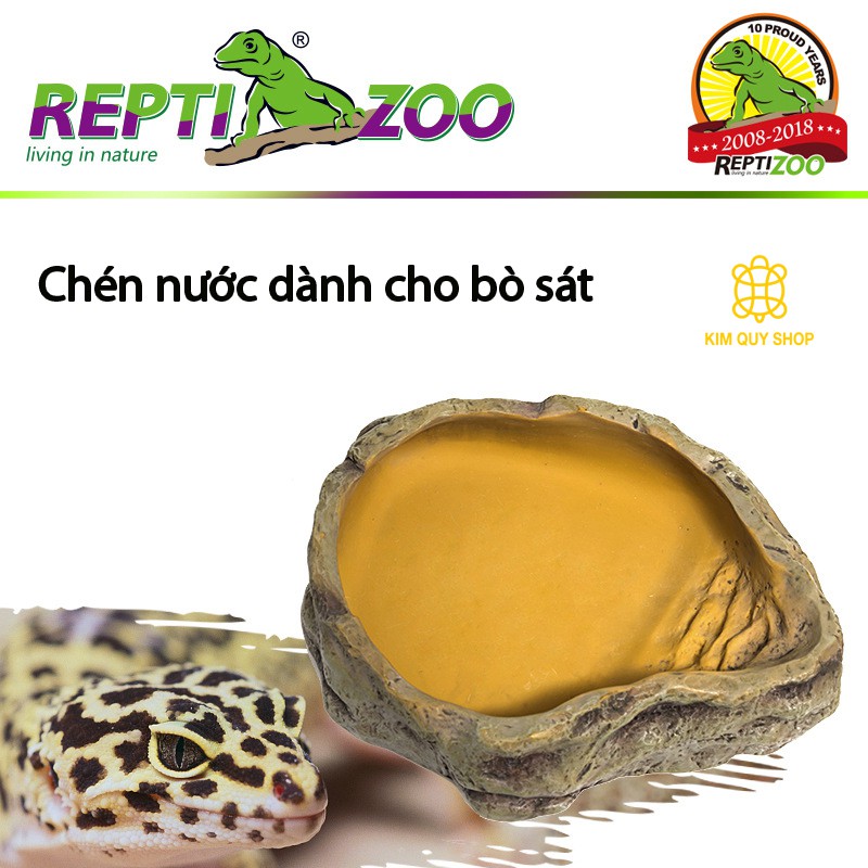 Chén ăn và máng nước cao cấp cho bò sát Reptizoo