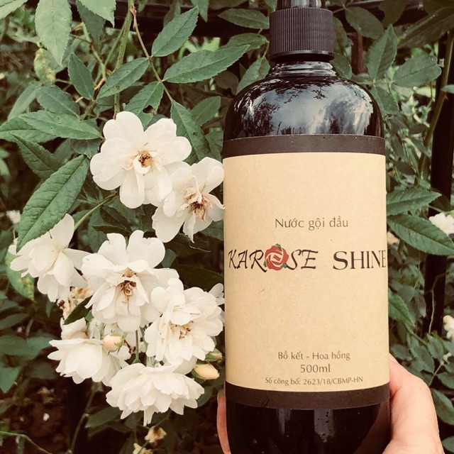 Nước gội đầu Karose Shine