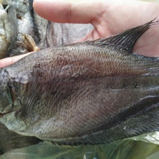 Combo khô cá sặc