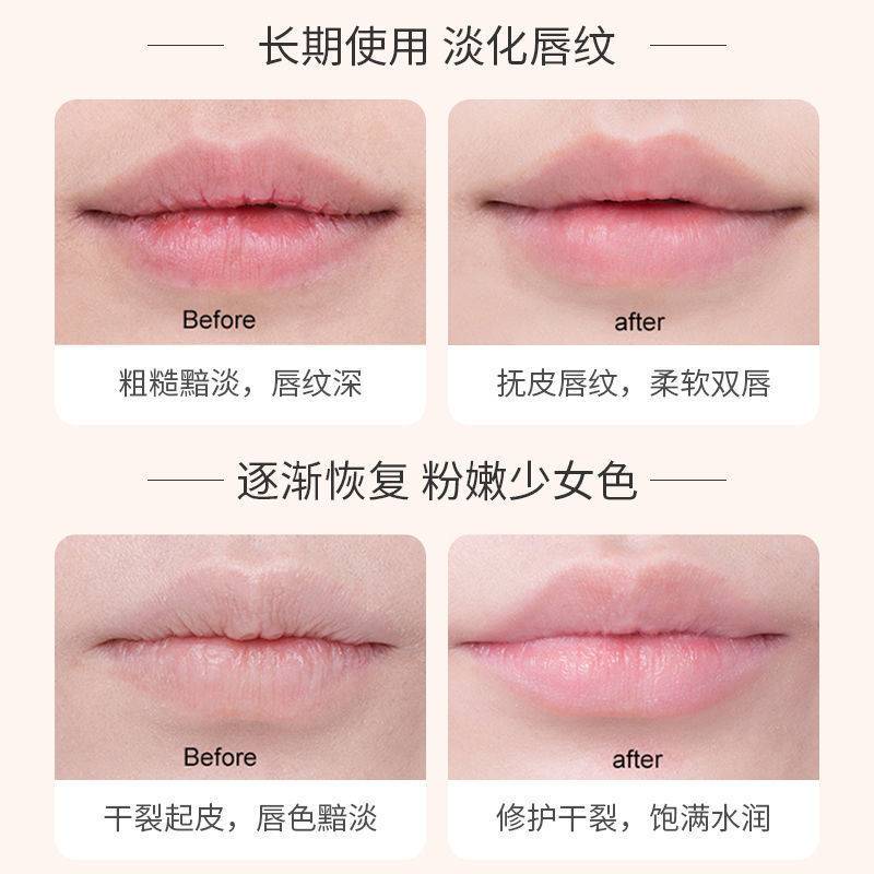 (hàng Mới Về) Son Dưỡng Ẩm Môi Chiết Xuất Sữa Hạt Mỡ Savior Shea | BigBuy360 - bigbuy360.vn