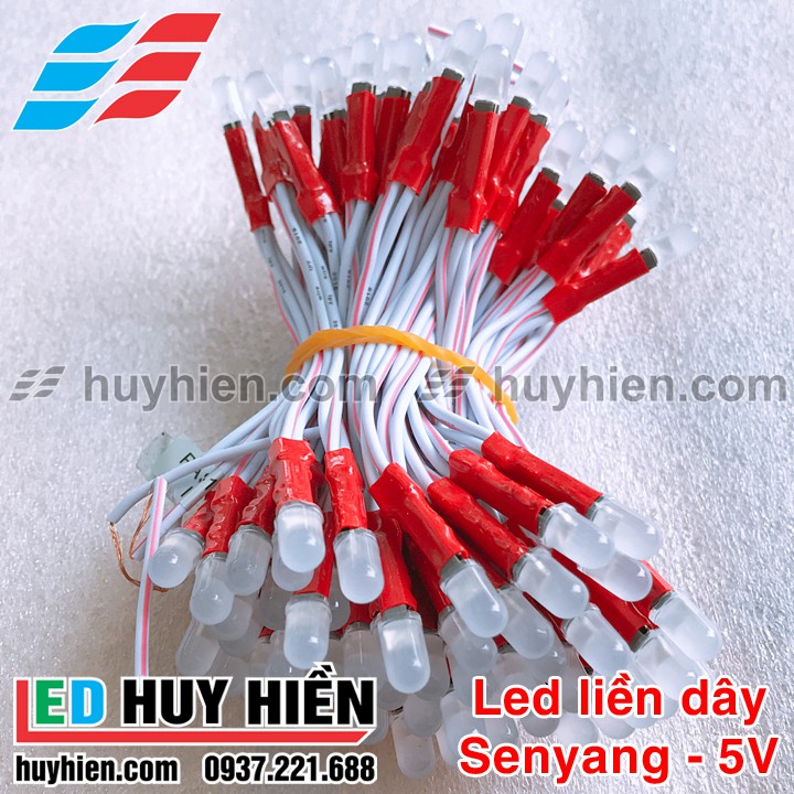 Cụm 100 bóng led liền dây JIYI (TTY) 5V các màu đơn sắc | BigBuy360 - bigbuy360.vn