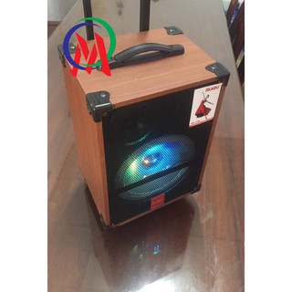 Loa Karaoke Ruizu RZ-109