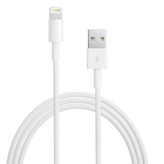 Cáp sạc iPhone chuẩn Lightning