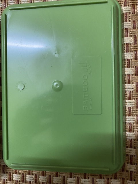 100 khay nhựa phíp 12x17