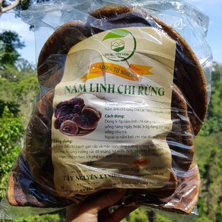 Nấm Linh Chi Rừng (Hồng Chi Việt Nam)