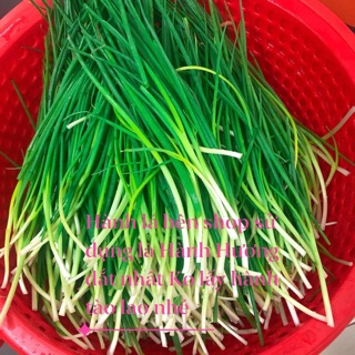 Kim chi Hành lá túi 1kg ( 파김치 )