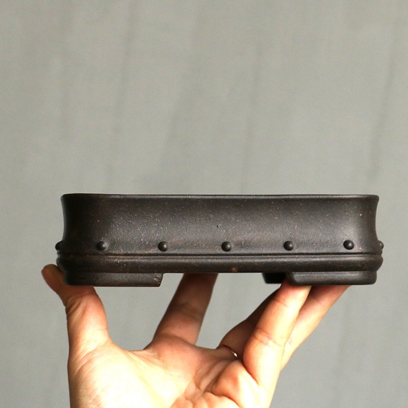 Chậu Gốm Tử Sa Vàng, Chậu Cây Bonsai Mini