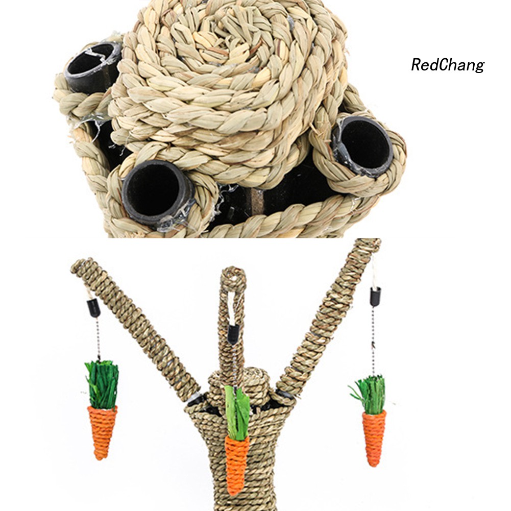 Đồ chơi cào móng cho mèo cưng hình cây gắn củ cà rốt độc đáo