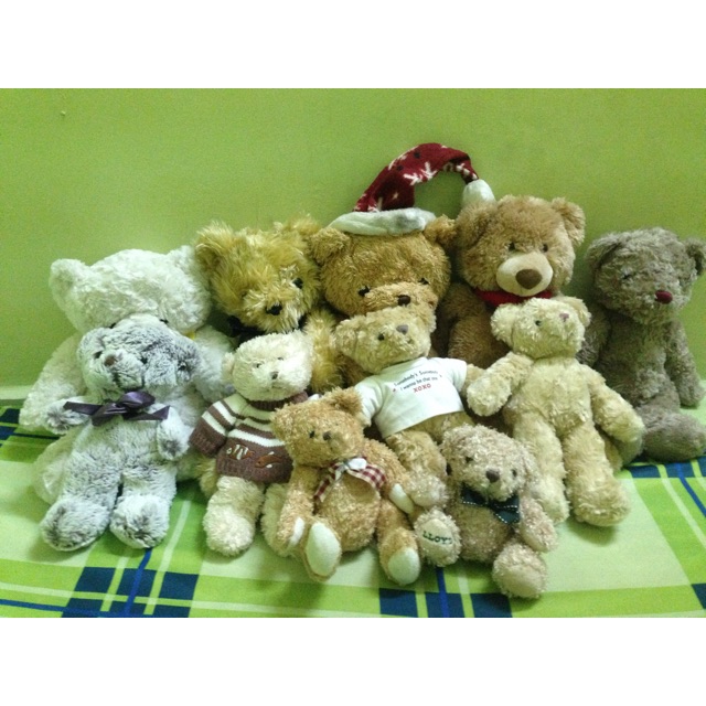 Set gấu teddy