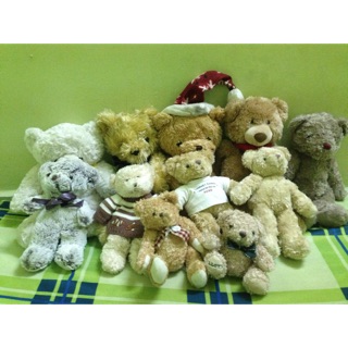 Set gấu teddy