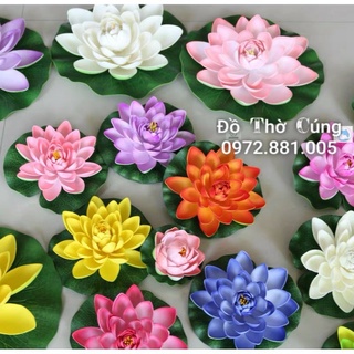 Hoa sen thả bể nước